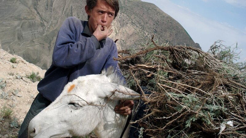 Aufgewachsen in Afghanistan: Zwei Jahrzehnte ohne Frieden – Bild: Phil Grabsky/​Seventh Art Productions