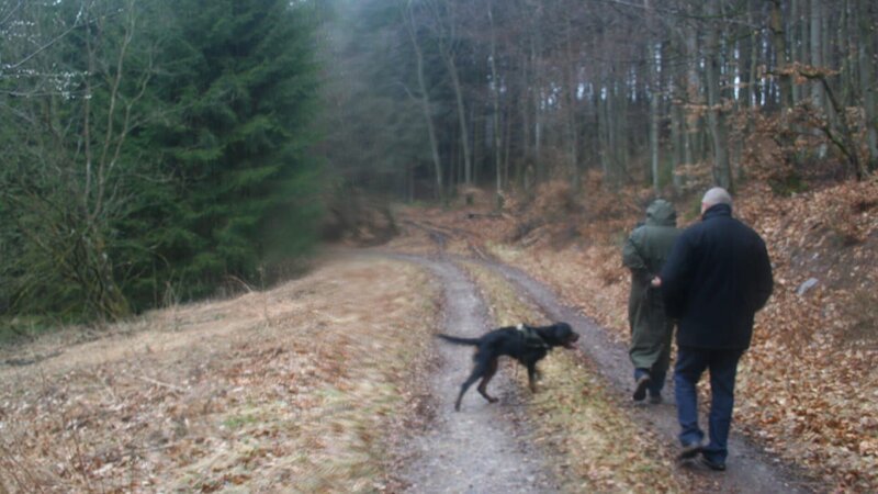 Bei der Suche nach Walter K. wurden alle verfügbaren Mittel eingesetzt, darunter auch Leichenspürhunde, die verschüttete Bunker, Sickergruben und weites Waldgebiet bis hin zu den Ardennen durchkämmten. – Bild: ZDF