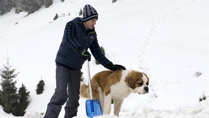 Lawinenhunde – 1 – Bild: SWR/​Maria Wiesler
