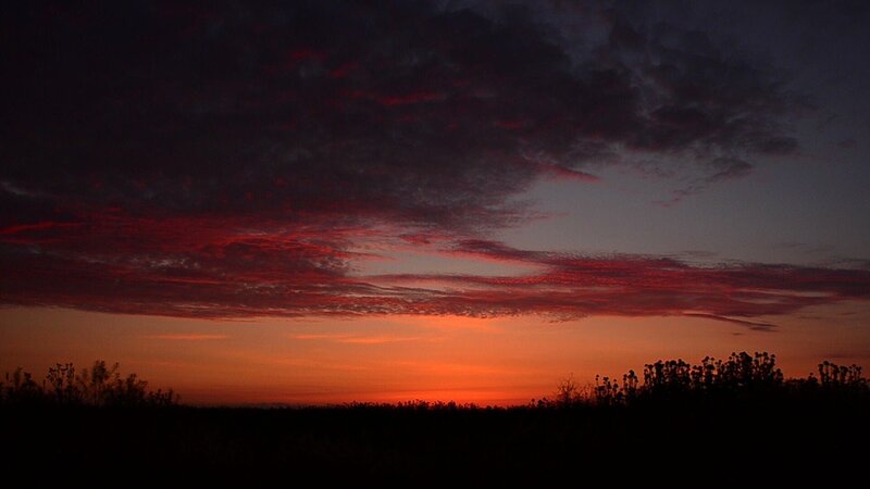 In der vierten Folge steht ein gewaltiger See, der seinem Namen nach sogar als Meer bezeichnet wird: das Kaspische Meer. An den Ufern leben einzigartige und geheimnisvolle Tiere, die teils schon seit Urzeiten existieren. – Bild: RTL /​ Tom Hollings