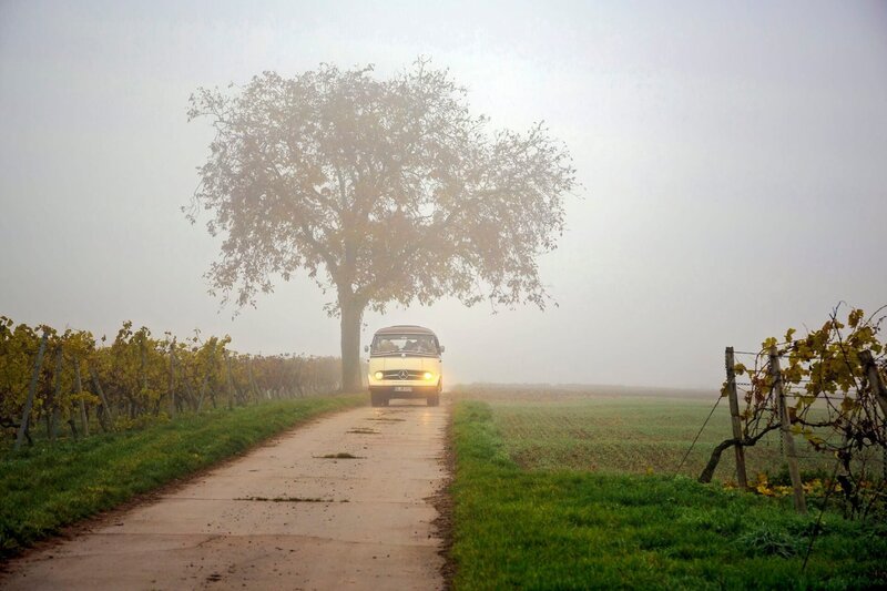 Fünf Landfrauen und ein Oldtimerbus mit Fahrer auf dem Weg zur Öko-Winzerin Christine Bernhard ins Zellertal. – Bild: Andreas Maluche