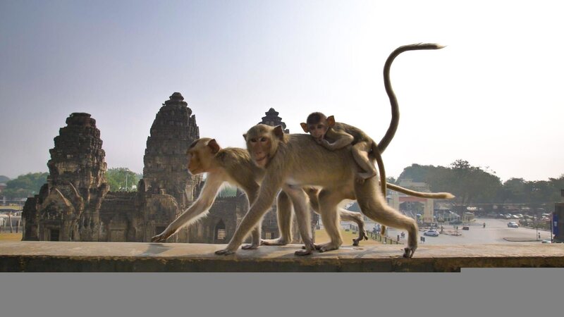 Bild: PLURIMEDIA (BBC)