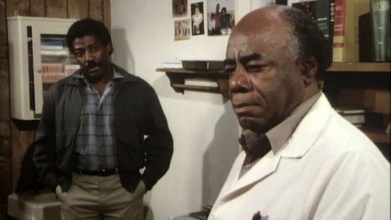 Der Landarzt, Dr. Sims (James Reynolds), Dr. Hudsbeth (Roscoe Lee Browne) – Bild: Bibel TV