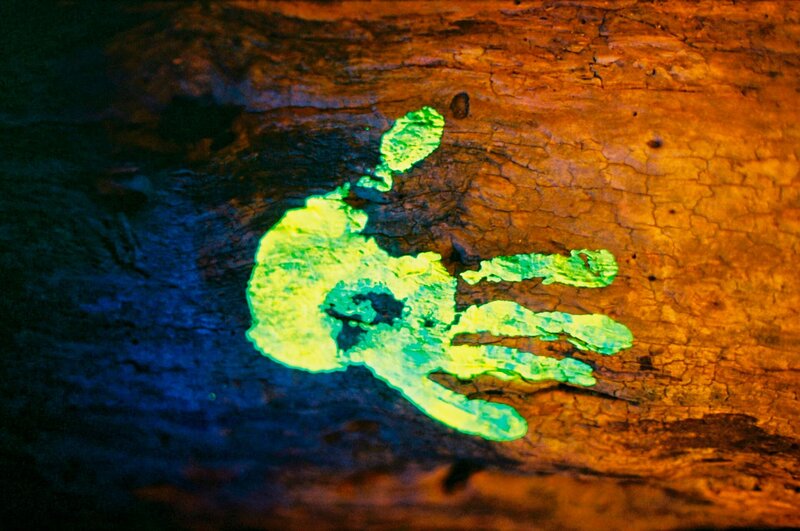 Stargate SG1 Season5 EP RITE OF PASSAGE, Stargate SG1 Staffel5, regie usa 1997, Darsteller – Bild: SYFY