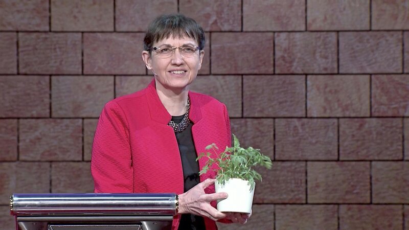 . – Bild: Bibel TV