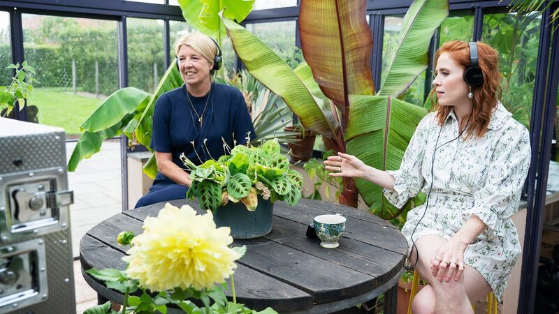 Bild: HGTV
