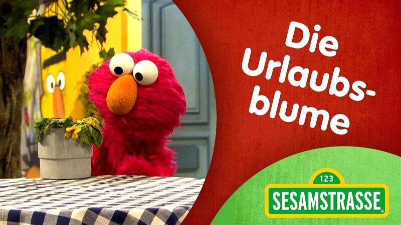 Elmo hat vergessen, Julias Blume während ihres Urlaubs zu gießen. – Bild: NDR/​Studio Hamburg Produktion/​Sesame workshop