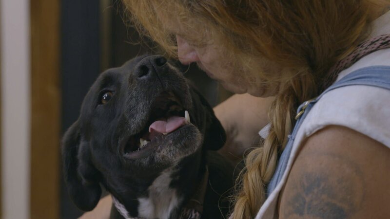 (JASKO ADOPTION) Tia at meet and greet. – Bild: Discovery Communications