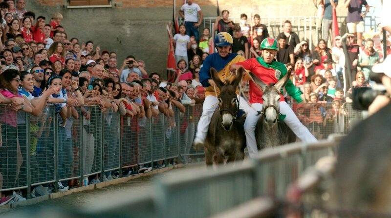 Beim Palio in Torrita di Siena müssen die Reiter ohne Sattel klarkommen, die Esel dürfen nur mit der flachen Hand angetrieben werden. – Bild: ZDF und SWR/Timo Zorn/Bilderfest GmbH Beim Palio in Torrita di Siena müssen die Reiter ohne Sattel klarkommen, die Esel dürfen nur mit der flachen Hand angetrieben werden. – Bild: ZDF und SWR/Timo Zorn/Bilderfest GmbH