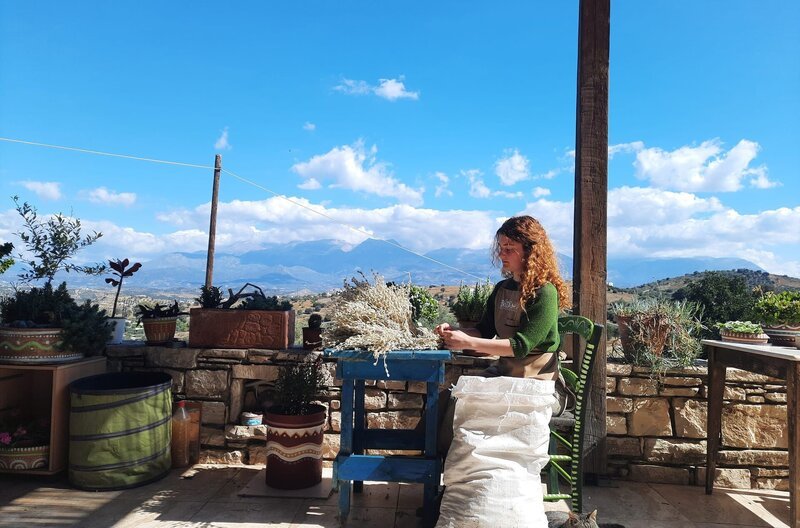 Am lybischen Meer bereitet Anna Gianoutsous den wilden Malotira-Tee für den Verkauf im Kräuterladen ihres Vaters vor. – Bild: ZDF und SWR/Lourdes Picareta Am lybischen Meer bereitet Anna Gianoutsous den wilden Malotira-Tee für den Verkauf im Kräuterladen ihres Vaters vor. – Bild: ZDF und SWR/Lourdes Picareta