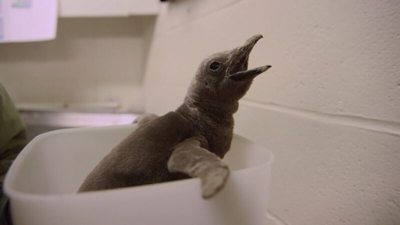 . – Bild: Warner Bros. Discovery