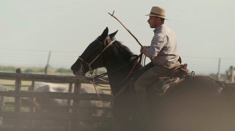 Auf der Azienda Regionale Agricola di Alberese arbeiten die letzten Cowboys der Toskana. Die italienischen Rinderhirten werden Butteri genannt. – Bild: ZDF/​SWR/​Timo Zorn/​Bilderfest GmbH