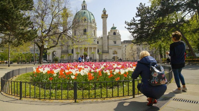 Blühende Insel im Park vor der Karlskirche. – Bild: ORF/​Landesstudio Wien