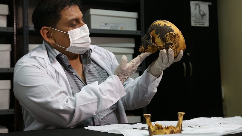 Guido P. Lombardi von der Universität Cayetano Heredia in Lima, Peru. – Bild: Discovery Communications