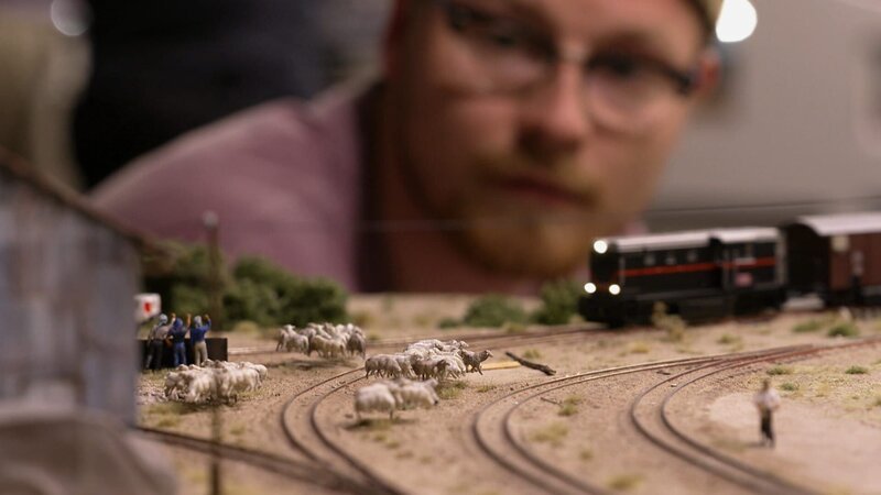 In der Pampa Patagoniens wird der Bahnverkehr häufig durch umherziehende Schafe unterbrochen. Grund genug für die Wunderländer, ein witziges Gimmick für die größte Modelleisenbahnanlage der Welt zu bauen. – Bild: Curiosity TV