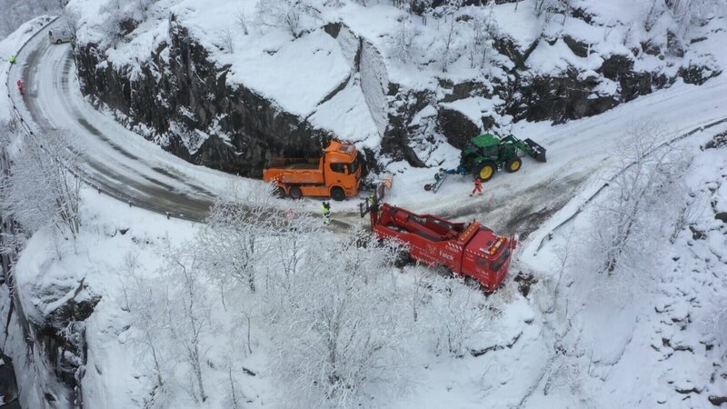 Bild: 2020 NGC NETWORK INTERNATIONAL, LLC. All rights reserved. Lizenzbild frei