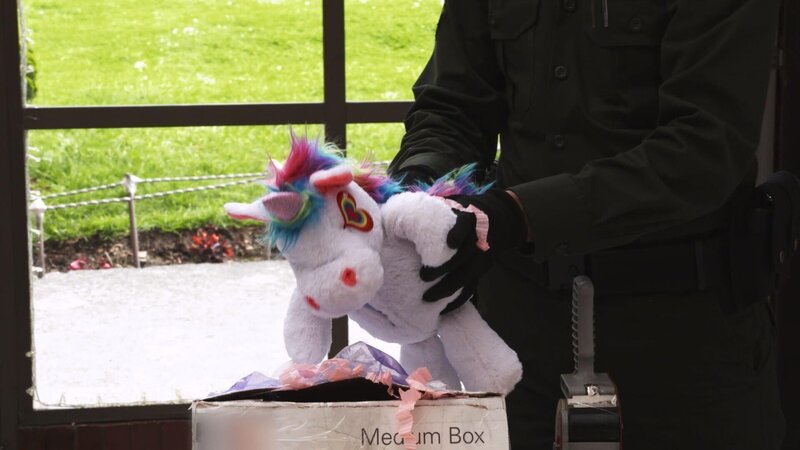 Einhorn-Kuscheltier – Bild: RTL /​ OMAVA LLC