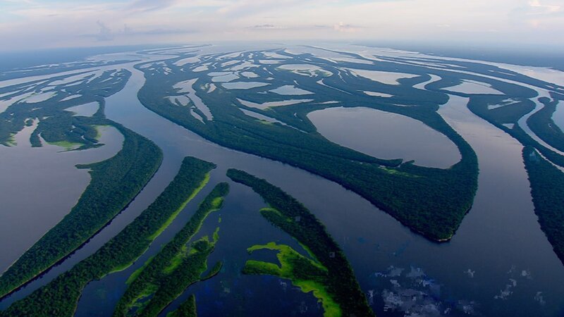 Weitverzweigte Flusssysteme wie am Amazons bieten Ottern viel Platz, um sich auszubreiten. – Bild: CuriosityStream-Inc.