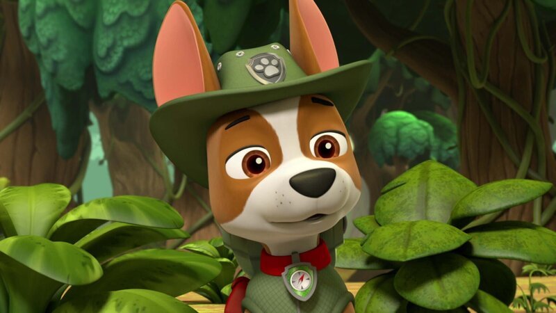 Tracker – Bild: Paramount Tracker – Bild: Paramount