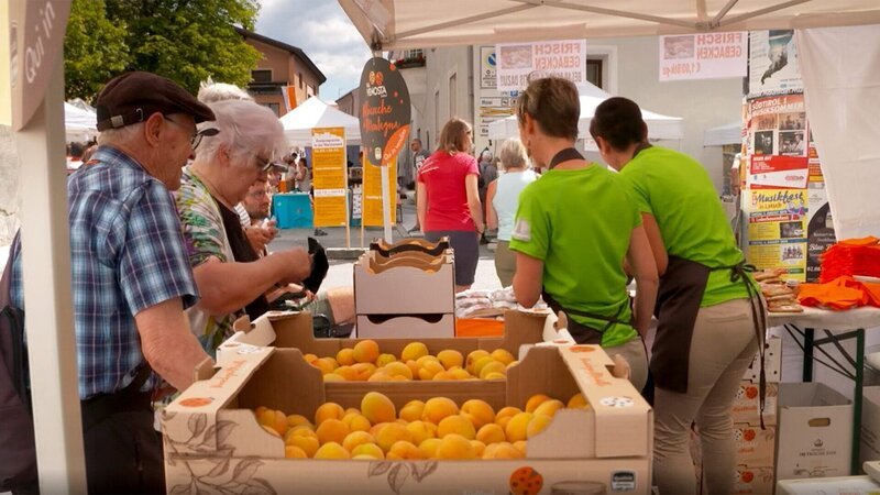 Marillenverkauf. – Bild: ORF/emb film Marillenverkauf. – Bild: ORF/emb film