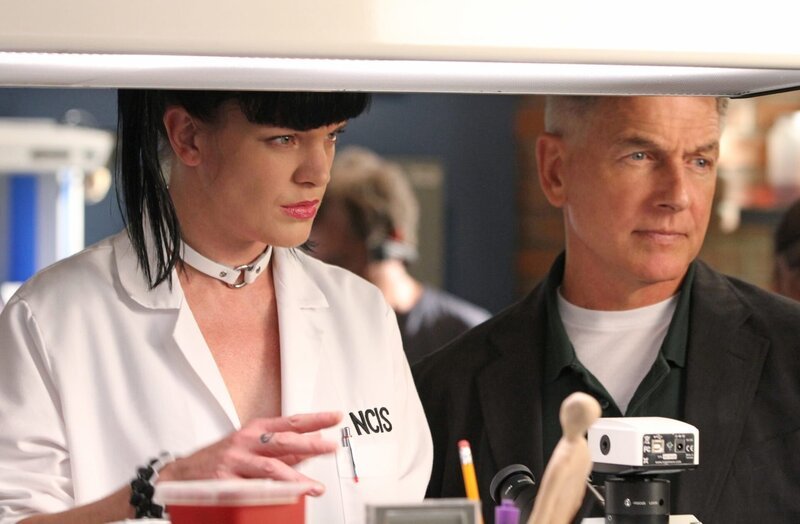 Ein neuer Fall beschäftigt Gibbs (Mark Harmon, r.) und Abby (Pauley Perrette, l.) … – Bild: CBS Television