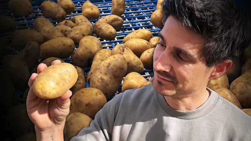 Einstein Warum der Klimawandel unsere Kartoffel bedroht Tobias Müller steht in einer Kartoffelproduktionsstätte und hält eine Kartoffel in der Hand. – Bild: SRF