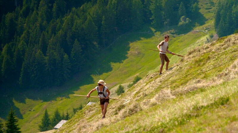Passeiertal freiwillige Ernte HelferInnen. – Bild: ORF/emb film Passeiertal freiwillige Ernte HelferInnen. – Bild: ORF/emb film