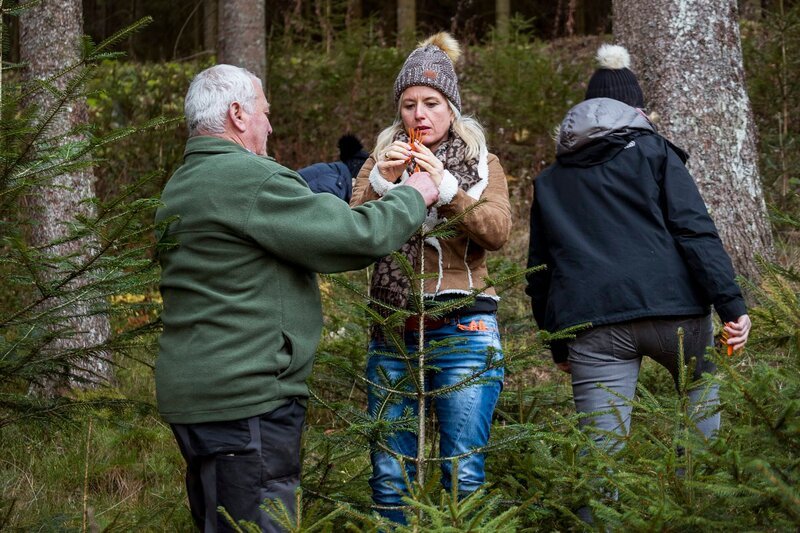 Schwiegervater Hermann Braun (li.) zeigt den Landfrauen, hier Bianka Güldenberg, wie man gegen den Wildverbiss die Nadelbaumspitzen mit Plastik-Manschetten schützt. – Bild: SWR/​megaherz/​Johannes Holland