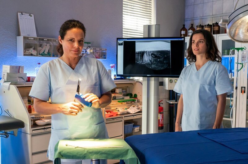 Tierärztin Dr. Susanne Mertens (Elisabeth Lanz, l.) und ihre Kollegin Karoline Schneider (Maxine Kazis, r.) bereiten sich auf die Operation eines kleinen Äffchens mit Miniatur-OP-Besteck vor. – Bild: ARD/​Steffen Junghans