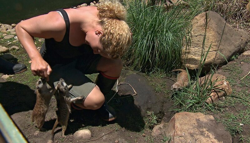 Tierpflegerin Felicitas im Erdmännchengehege. – Bild: NDR/​Vincent TV GmbH