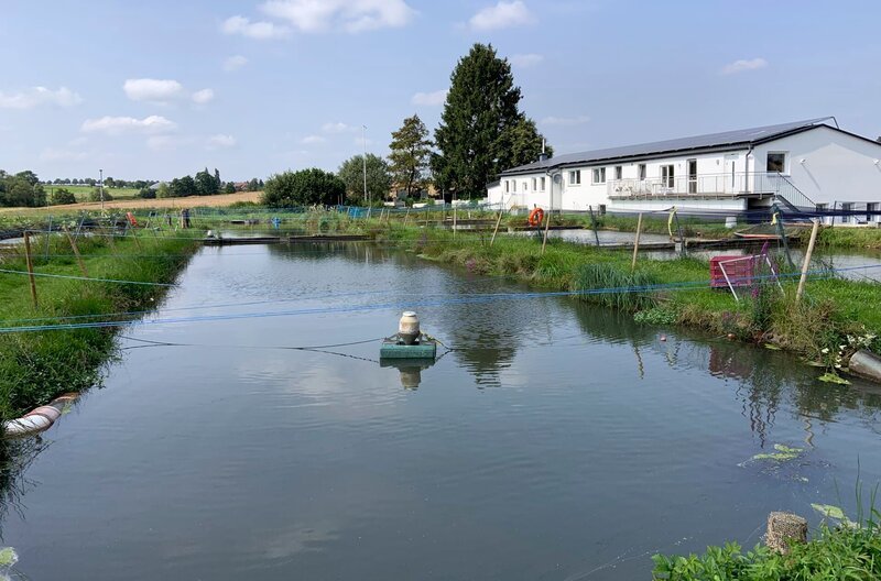 Fischzucht Wetterfeld – Bild: HR/​Mathias Münch