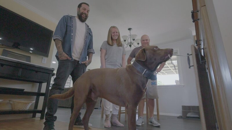 Antonio Ballatore, Kirstin Mahoney, and Sergio Pedroza with Turf. – Bild: Animal Planet /​ Discovery Communications