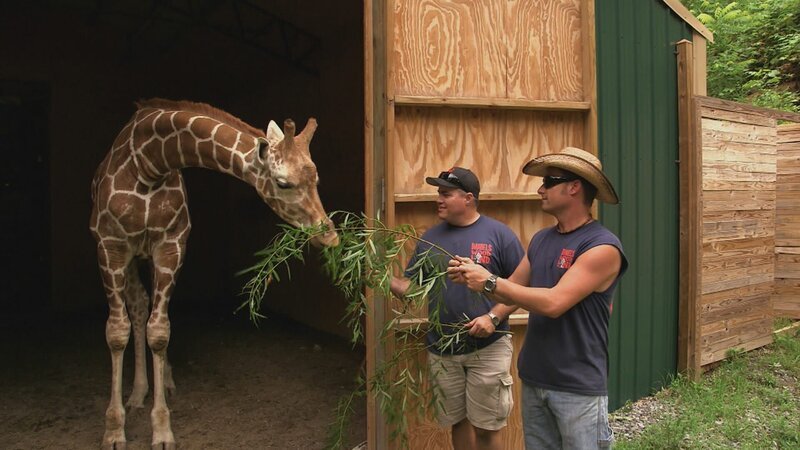 . – Bild: Warner Bros. Discovery