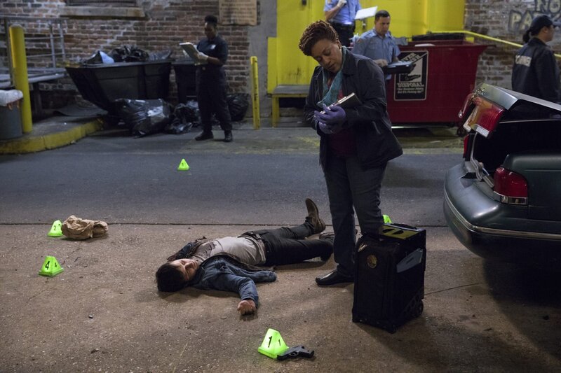 Loretta Wade (CCH Pounder) bei der Spurensicherung. Die Indizien führen zu einem internationalen Drogenring … – Bild: Sam Lothridge /​ © 2016 CBS Broadcasting, Inc. All Rights Reserved /​ Sam Lothridge