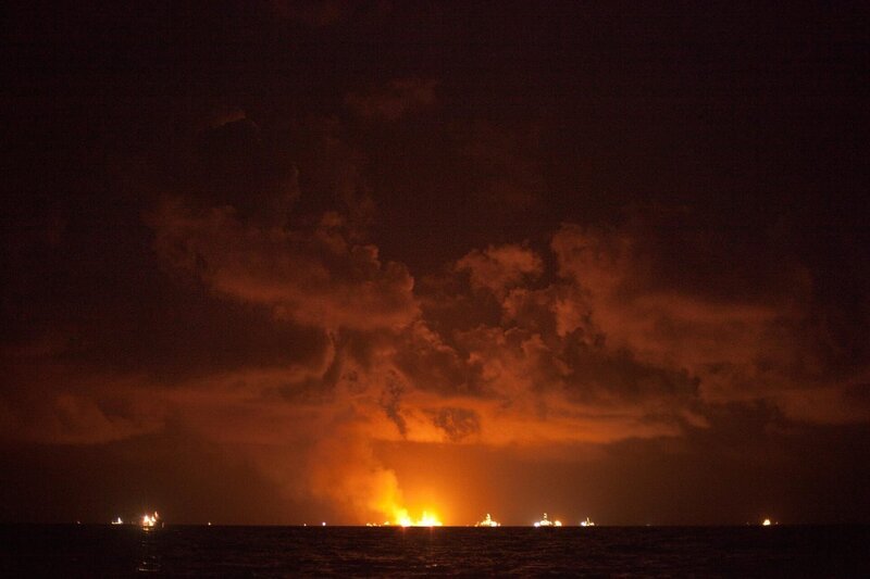 Bild: PLURIMEDIA (David Liittschwager /​ National Geographic)