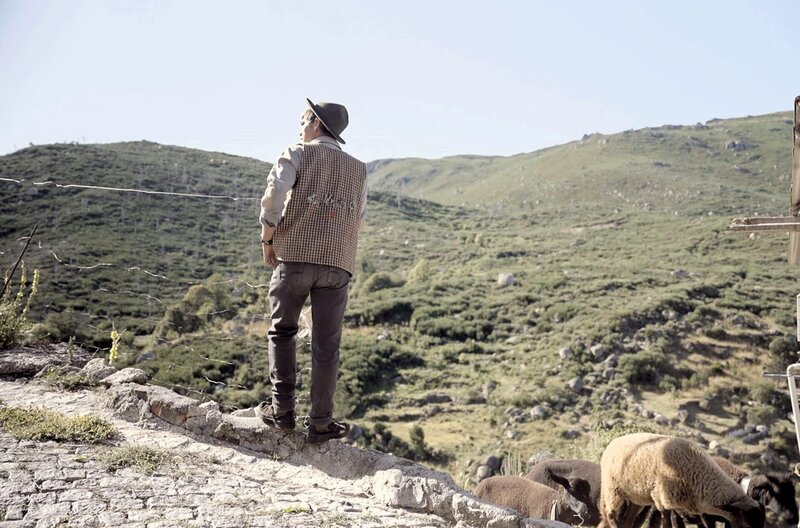 In der Serra da Estrela prägt die Wollkultur das Leben der Menschen. Wird es gelingen, die Tradition und das Handwerk rund um Burel wieder zum Leben zu erwecken? – Bild: MedienKontor/​Prontoprod