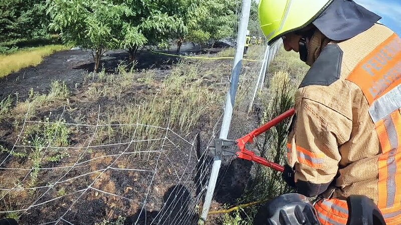 Die Berufsfeuerwehr wird zu einem Großeinsatz gerufen. – Bild: Warner Bros. Discovery
