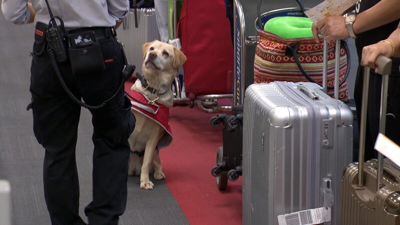 Bild: Seven Productions 2018 Lizenzbild frei