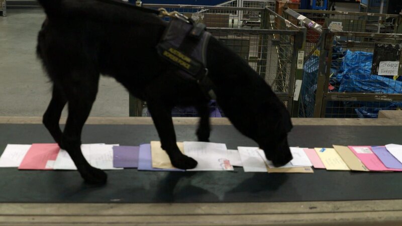 Bild: Seven Network (Operations) Limited