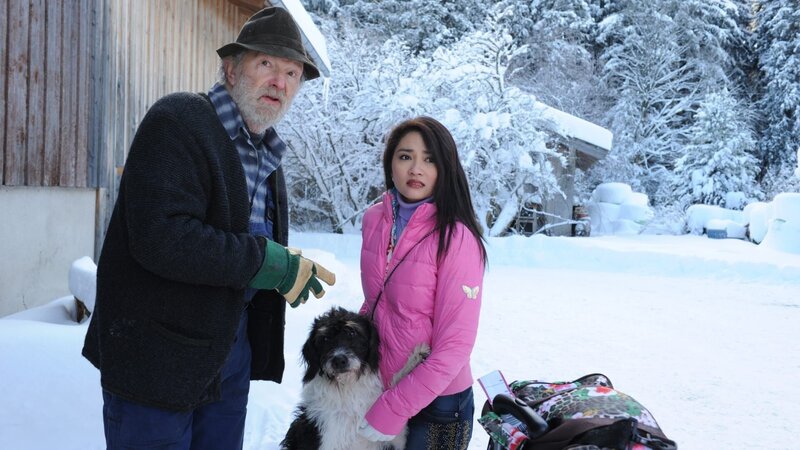 Mein Schwiegervater, der Stinkstiefel – Bild: port.hu