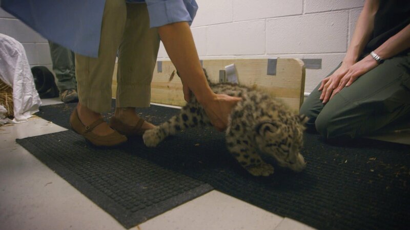 . – Bild: Warner Bros. Discovery . – Bild: Warner Bros. Discovery