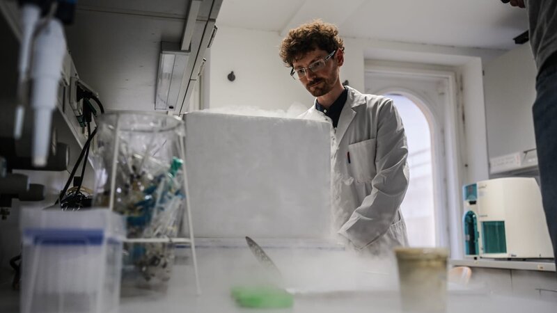 Tiefgefrorene Archaeen-Bakterien – aus ihnen soll eine Schutzhülle für Wirkstoffe entstehen, die sonst die Magensäure nicht überstehen würden. – Bild: ServusTV