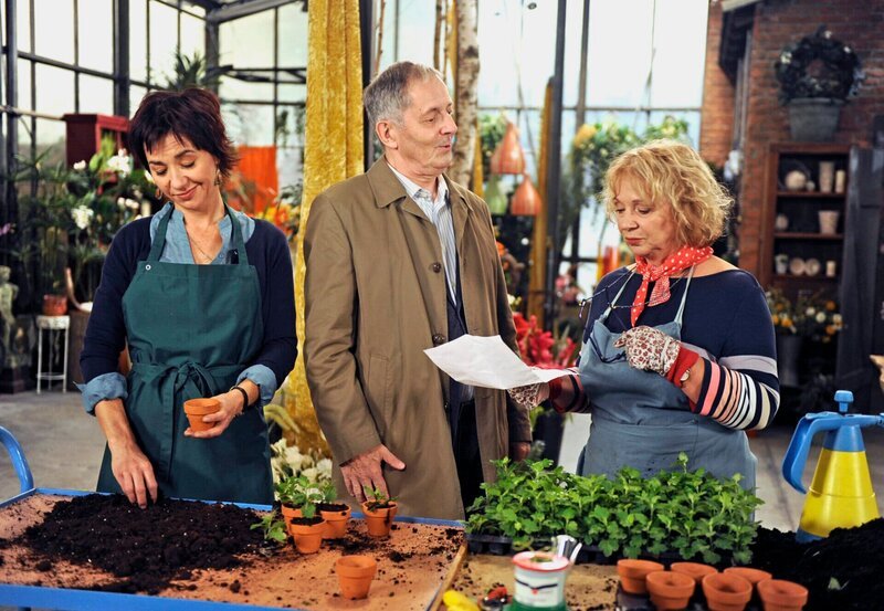 ARD ROTE ROSEN FOLGE 1162. Achim (Peter Rühring, M. mit Anja Franke, l.) ist erleichtert, dass Erika (Madeleine Lierck-Wien, r.) seinem Punktesystem für mehr Gerechtigkeit im Zusammenleben, zustimmt. – Bild: Nicole Manthey