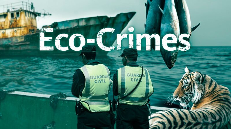 Eco Crimes KeyVisual – Bild: WDR/​REUTERS/​AP/​ddp/​imageBROKER /​ WDR Kommunikation/​Redaktion Bild