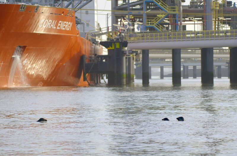 Gigantische Lagertanks, riesige Kräne, Containerschiffe und ein schier unendliches Netz von Eisenbahnschienen: Der Rotterdamer Hafen ist eine erstaunliche Welt aus Stahl und Beton. – Bild: Melvin Kalshoven