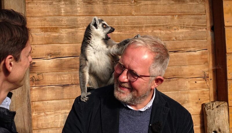 Peter Schneeberger und Harald Krassnitzer mit einem Katta Lemur im Tiergarten Hellbrunn Salzburg. – Bild: ORF/​pre tv/​Rene Schuh