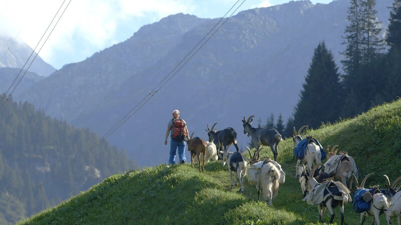Trecking mit Packziegen. – Bild: ZDF und SRF
