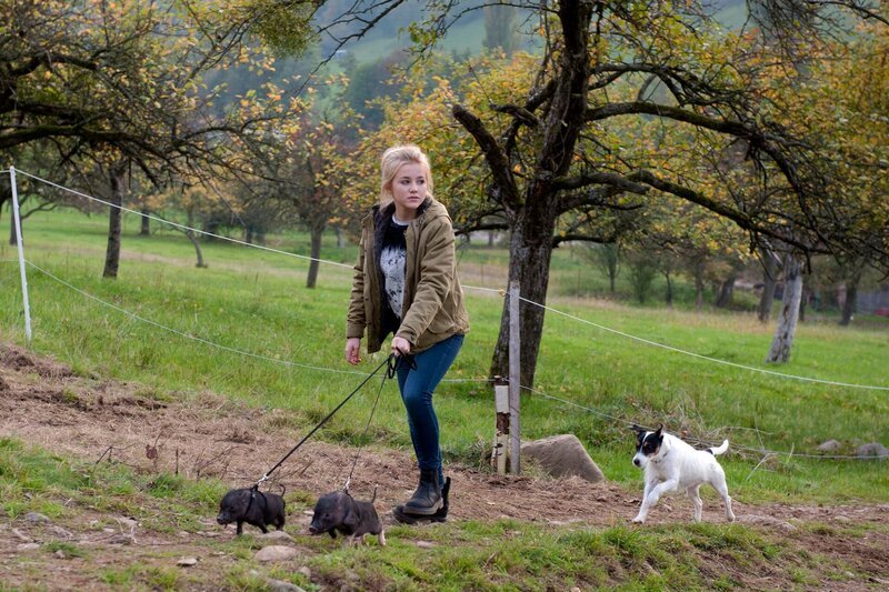 Cookie (Jule Schuck) muss mit zwei Minischweinen um Nellys Aufmerksamkeit buhlen. – Bild: SWR/​Maria Wiesler