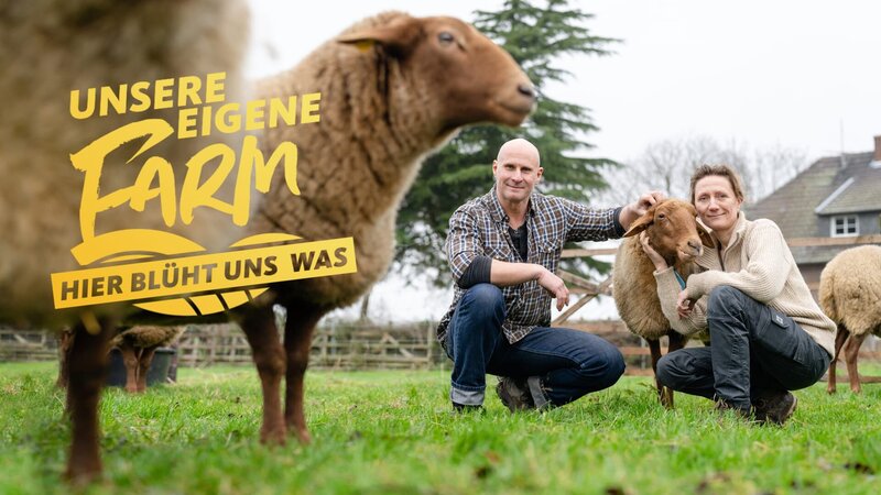 Keyvisual – (Dunja (r, 51) und ihr Mann Stefan (52) züchten Schafe in Kevelaer) – Bild: ben knabe