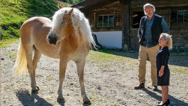 Der Bergdoktor Staffel 16 Wer wir sind – Teil 2 Pferd, Mann und Frau: Götz Otto als Wolfram Gessner, Christine Urspruch als Andrea Hoffmann – Bild: SRF/​ZDF/​Erika Hauri